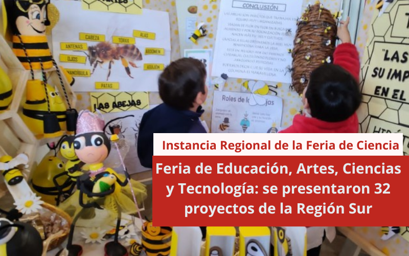 Feria de Educación, Artes, Ciencias y Tecnología: se presentaron 32 proyectos de la Región Sur