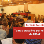 Temas tratados por el plenario de UDAP