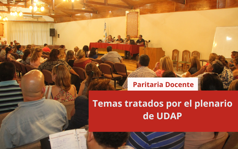 Temas tratados por el plenario de UDAP