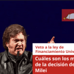 Veto a la ley de Financiamiento Universitario: cuáles son los motivos de la decisión de Javier Milei