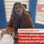 Patricia Quiroga (UDAP): “nosotros vamos a rechazar la propuesta del gobierno”