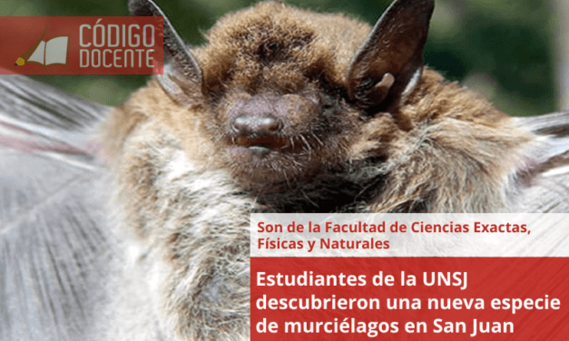 Estudiantes de la UNSJ descubrieron una nueva especie de murciélagos en San Juan