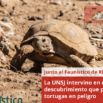 La UNSJ intervino en un descubrimiento que preservará tortugas en peligro