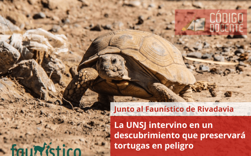 La UNSJ intervino en un descubrimiento que preservará tortugas en peligro